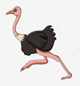 C:\Users\user\Desktop\pngtree-ostrich-on-the-run-clipart-png-image_2984946.jpg